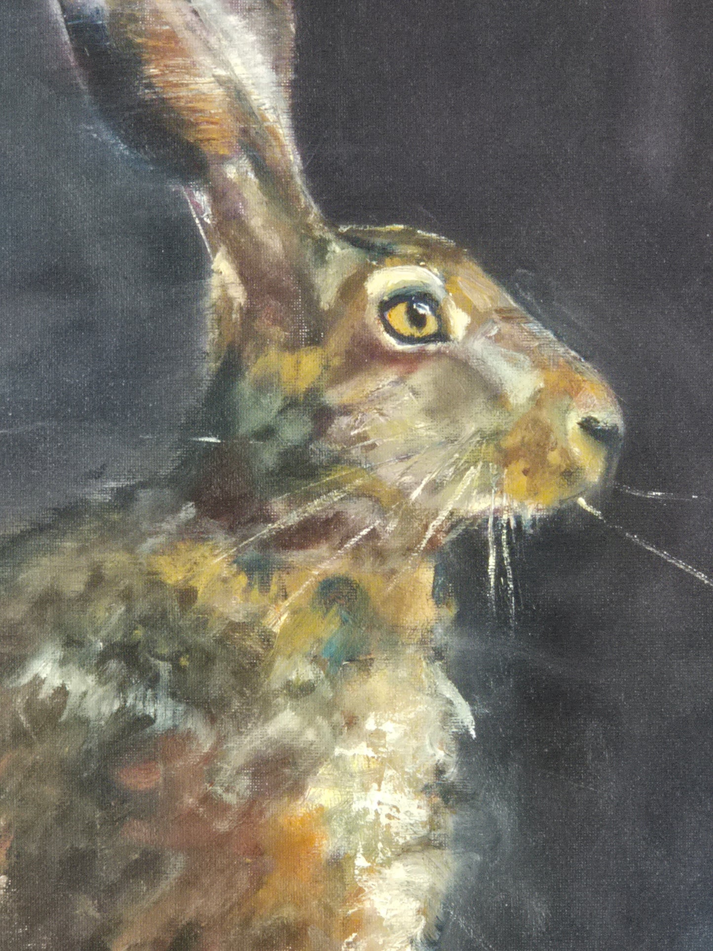 The Night Hare