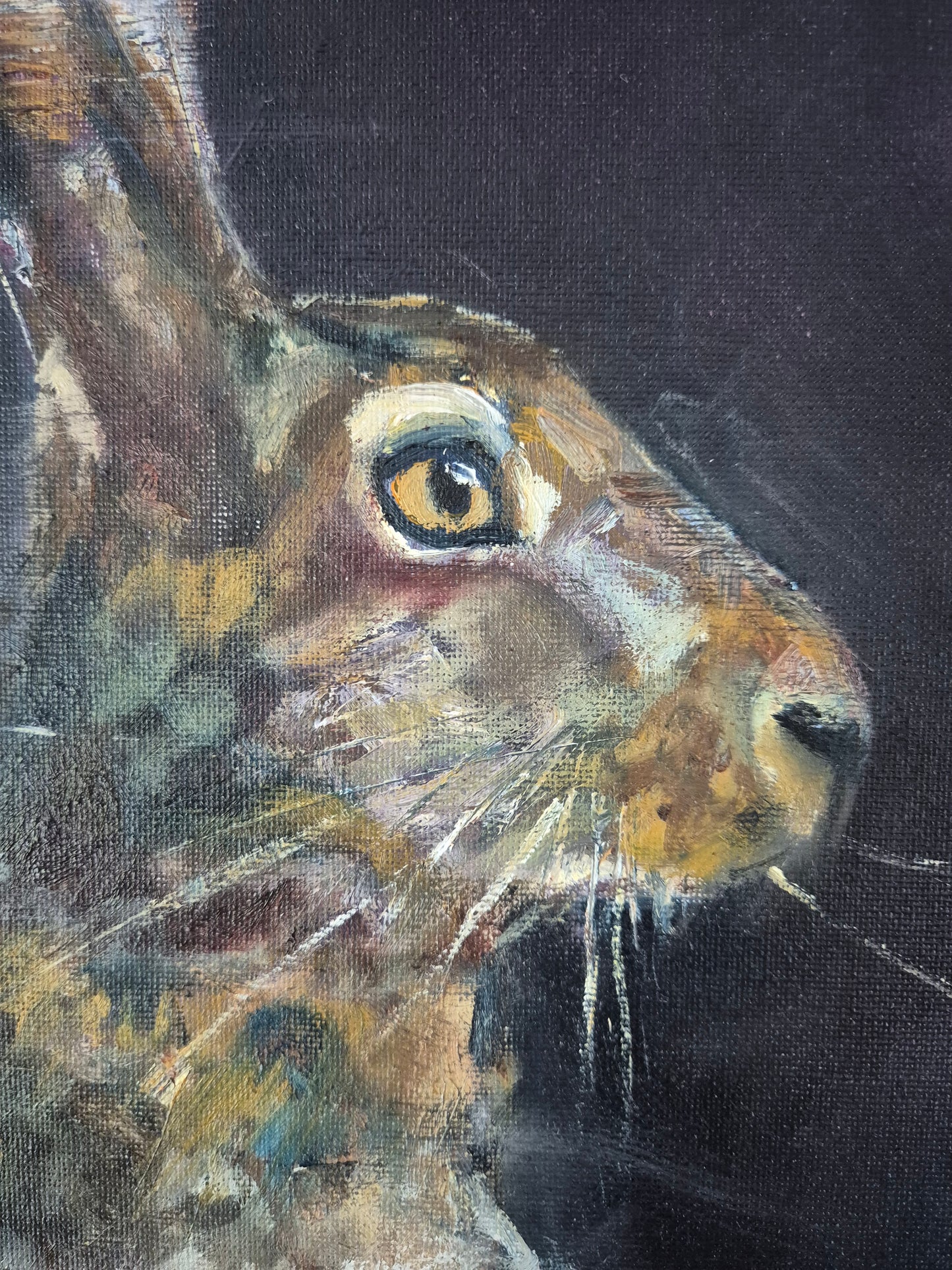 The Night Hare