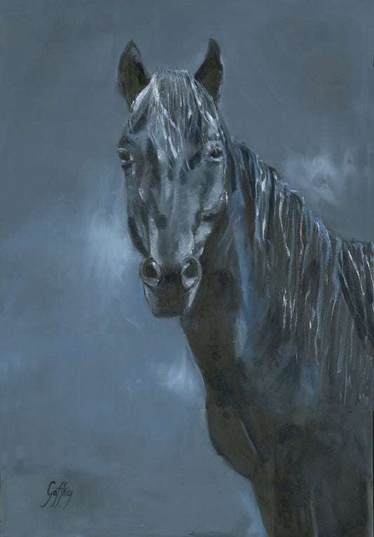 Shadow Horse- Fine Art Print