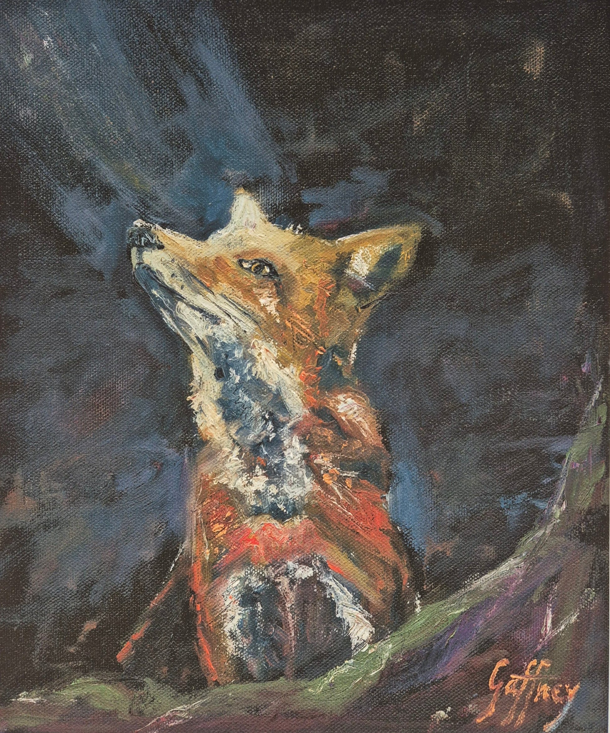 The Curious Fox- fine art print Ireland