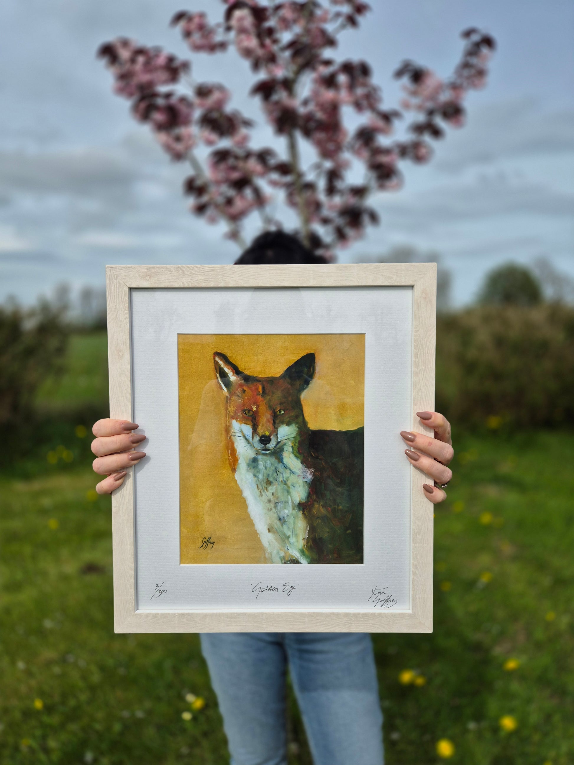 Golden Eye, Fine Art Print