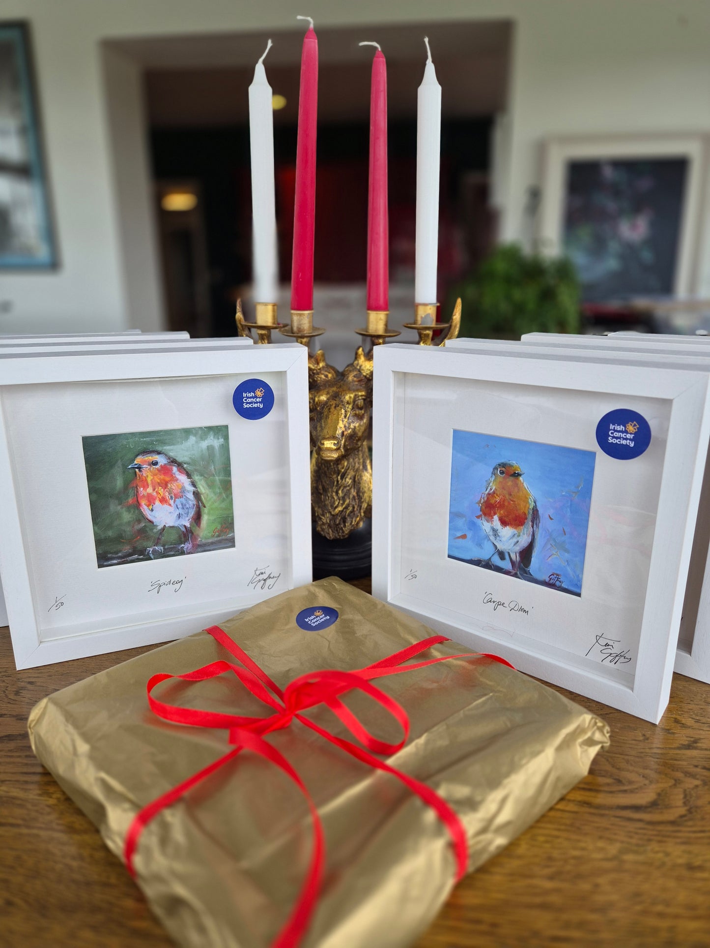 Spideog- Fine art framed print