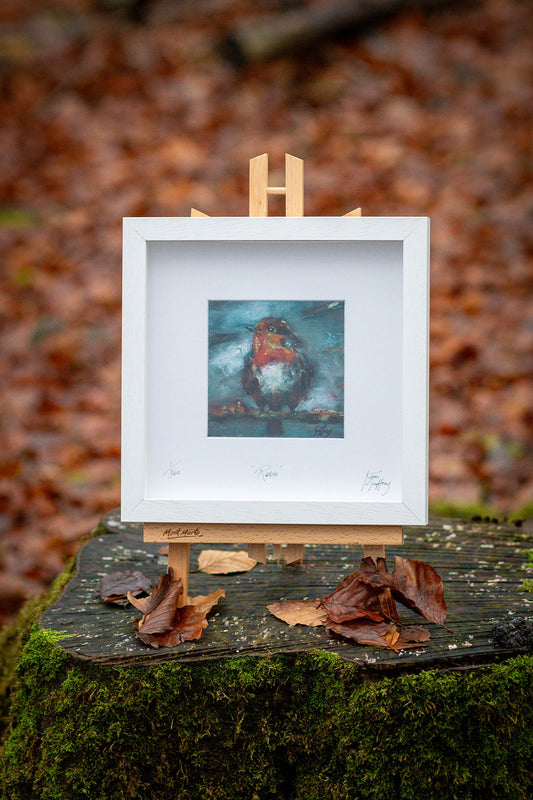 Robin- Mini Fine Art Print Framed