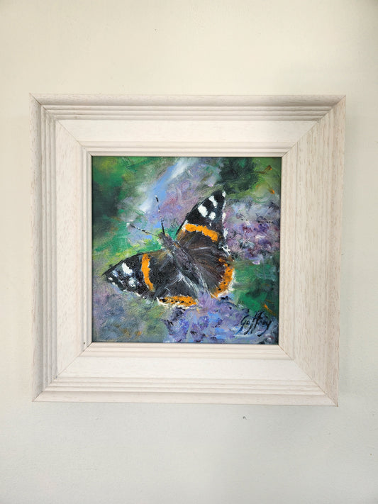 Butterfly- red admiral, original oil