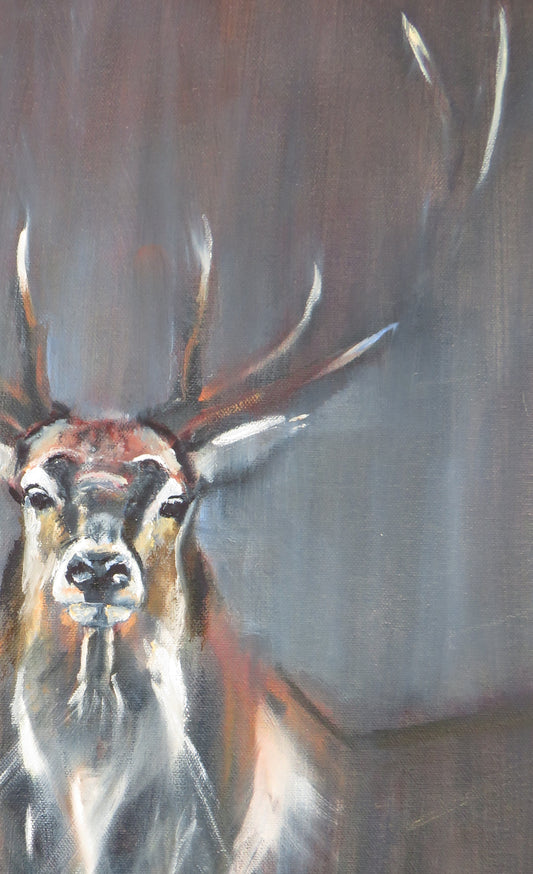 The Regal Stag - Original Oil Painting