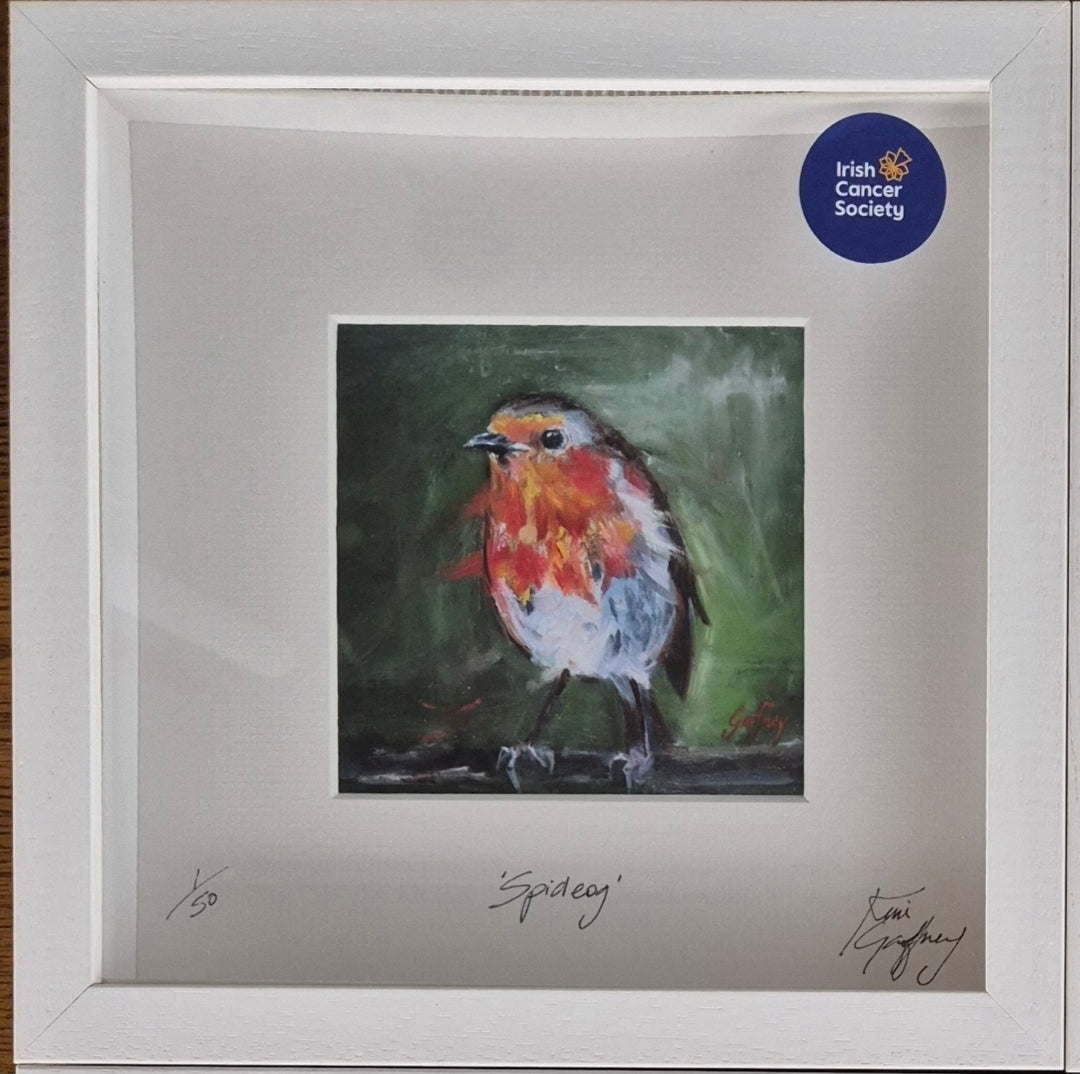 Spideog- Fine art framed print