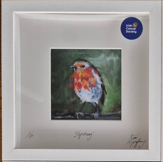 Spideog- Fine art framed print