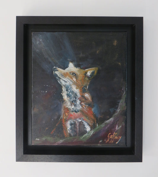 The Curious Fox