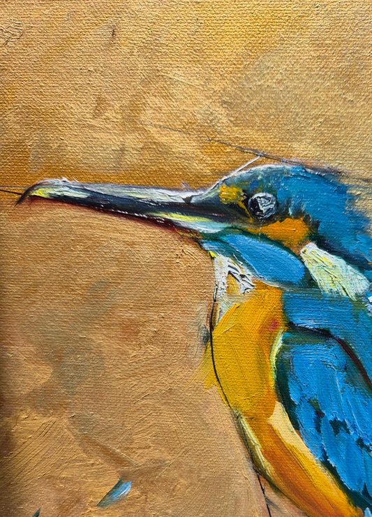 Kingfisher - Original Oil Painting