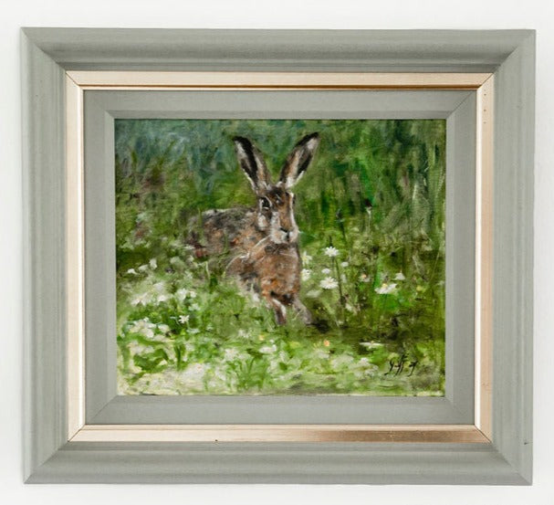 Hare among the Daisies